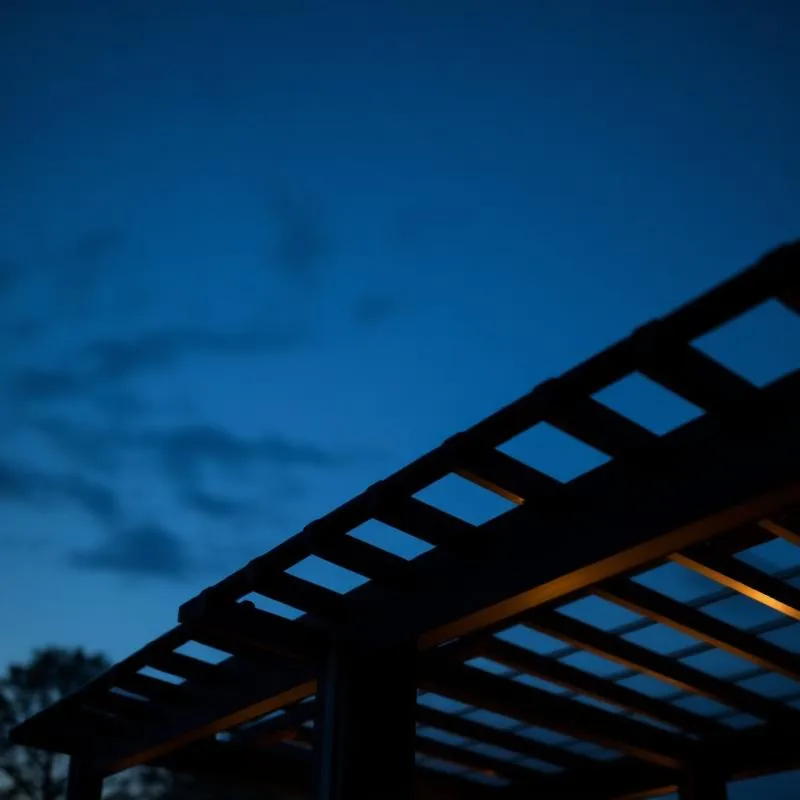 Pergolas, Verandas & Outdoor Structures